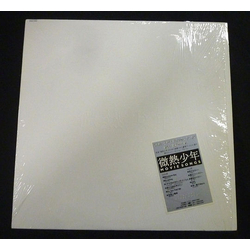 Various Original Sound Track "Binetsu Shonen" = 微熱少年 Vinyl LP USED