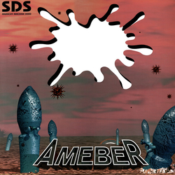 S.D.S Ameber Vinyl 12" USED