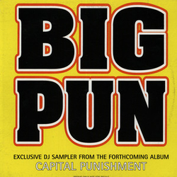 Big Punisher Capital Punishment Vinyl 12" USED