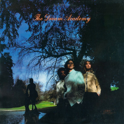The Dream Academy The Dream Academy Vinyl LP USED