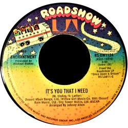 Enchantment It's You That I Need / Sunny Shine Feeling Vinyl 7" USED