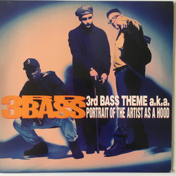 3rd Bass 3rd Bass Theme A.K.A. Portrait Of The Artist As A Hood Vinyl 12" USED
