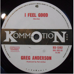 Greg Anderson (15) I Feel Good Vinyl 7" USED