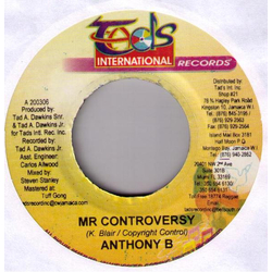 Anthony B Mr Controversy Vinyl 7" USED
