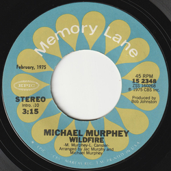 Michael Martin Murphey Wildfire / A Mansion On The Hill Vinyl 7" USED
