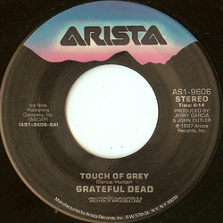 The Grateful Dead Touch Of Grey Vinyl 7" USED