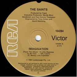 The Saints Imagination Vinyl 7" USED