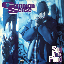 Common Soul By The Pound / Can-I-Bust / Heidi Hoe Vinyl 12" USED