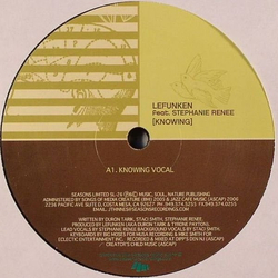 Lefunken / Stephanie Renee Knowing Vinyl 12" USED