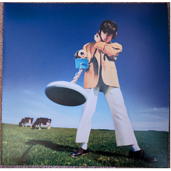 Declan McKenna What Happened To The Beach? Vinyl LP USED