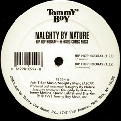 Naughty By Nature Hip Hop Hooray / The Hood Comes First Vinyl 12" USED