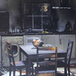 Joey Cape A Good Year To Forget Vinyl LP USED