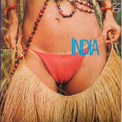 Gal Costa Índia Vinyl LP USED