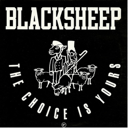 Black Sheep The Choice Is Yours Vinyl 12" USED