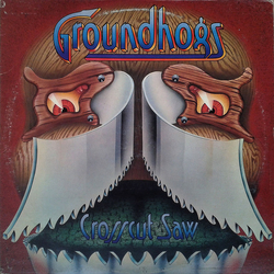 The Groundhogs Crosscut Saw Vinyl LP USED
