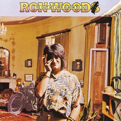Ron Wood I've Got My Own Album To Do Vinyl LP USED