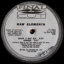 Raw Elements Back 2 Bay Six Vinyl 12" USED