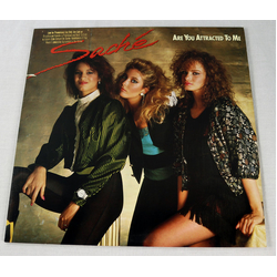 Saché Are You Attracted To Me Vinyl LP USED