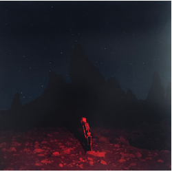 Phoebe Bridgers Punisher Vinyl LP USED