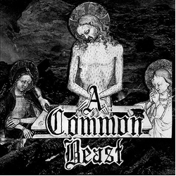 Starcave A Common Beast Vinyl 7" USED