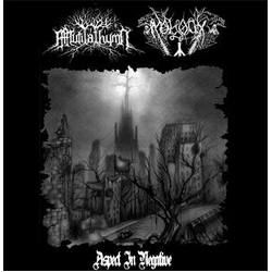 Moloch (4) / Mutilathymn Aspect In Negative Vinyl 7" USED