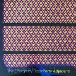 Dan Andriano In The Emergency Room Party Adjacent Vinyl LP USED