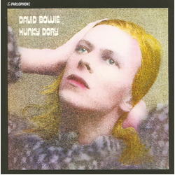 David Bowie Hunky Dory Vinyl LP USED