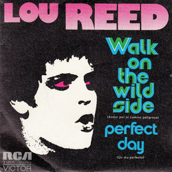 Lou Reed Walk On The Wild Side / Perfect Day Vinyl 7" USED