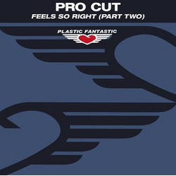 Pro Cut Feel So Right (Disc Two) Vinyl 12" USED