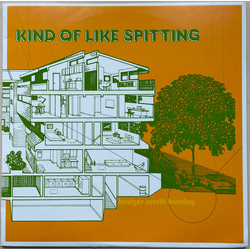 Kind Of Like Spitting Bridges Worth Burning Vinyl LP USED
