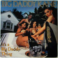 Big Daddy Kane It's A Big Daddy Thing Vinyl LP USED
