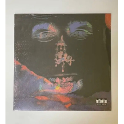 Flatbush Zombies Now, More Than Ever Vinyl 12" USED