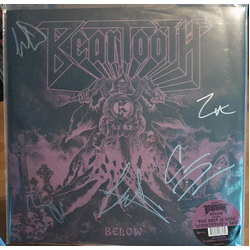 Beartooth Below Vinyl LP USED