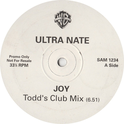 Ultra Naté Joy Vinyl 12" USED