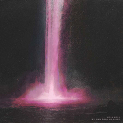 Holy Holy My Own Pool Of Light Vinyl LP USED
