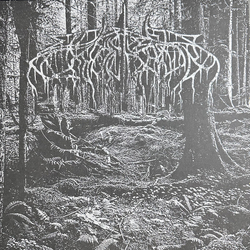 Wolves In The Throne Room Wolves In The Throne Room Vinyl LP USED