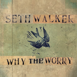Seth Walker (3) Why The Worry Vinyl LP USED