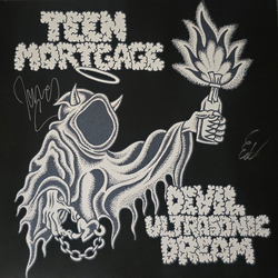 Teen Mortgage Devil Ultrasonic Dream Vinyl LP USED