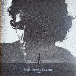 Tamino Every Dawn's A Mountain Vinyl LP USED