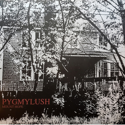 Pygmy Lush Mount Hope Vinyl LP USED