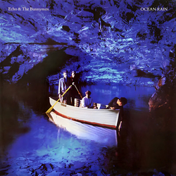 Echo & The Bunnymen Ocean Rain Vinyl LP USED