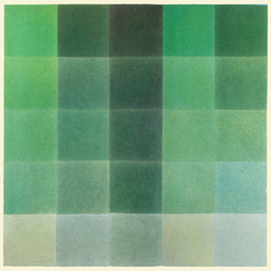 Tim Hill (24) Shades Of Green Vinyl LP USED