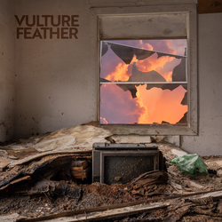 Vulture Feather It Will Be Like Now Vinyl LP USED