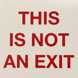 The Backfires This Is Not An Exit Vinyl LP USED