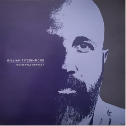 William Fitzsimmons Incidental Contact Vinyl LP USED