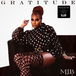 Mary J. Blige Gratitude Vinyl LP USED