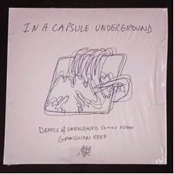 Wand (2) In a Capsule Underground Vinyl LP USED