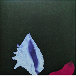 New Order Touched By The Hand Of God Vinyl 12" USED