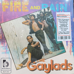 The Gaylads Fire And Rain Vinyl LP USED