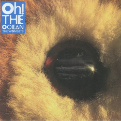 The Wombats Oh! The Ocean Vinyl LP USED
